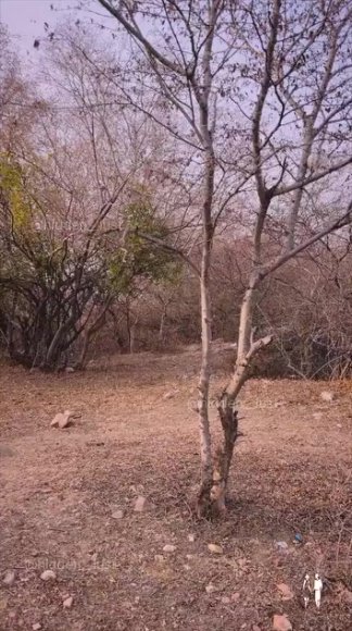 /2026-08-06 00-30/jangaldare.mp4 at Streamtape.com.mp4