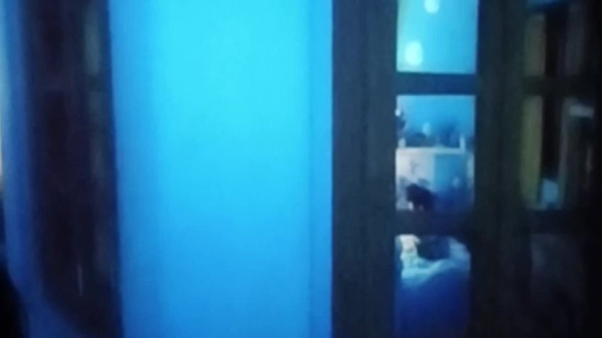 /Jumbo.2025.720p.HDCAM(1).mp4