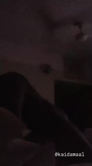 /2026-08-04 17-43/2025-09-06-08-28-45.mp4