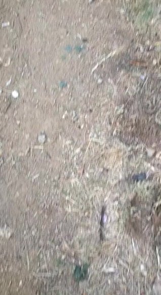 /2026-08-03 11-00/VID-20231209-WA0007.mp4