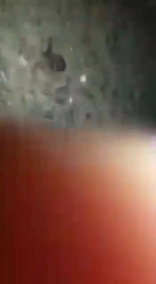 /2026-08-06 16-09/(roটেলিগ্রাম সার্চ করুন- World new link) (74).mp4